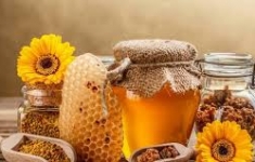 Nha đam mật ong chữa dạ dày